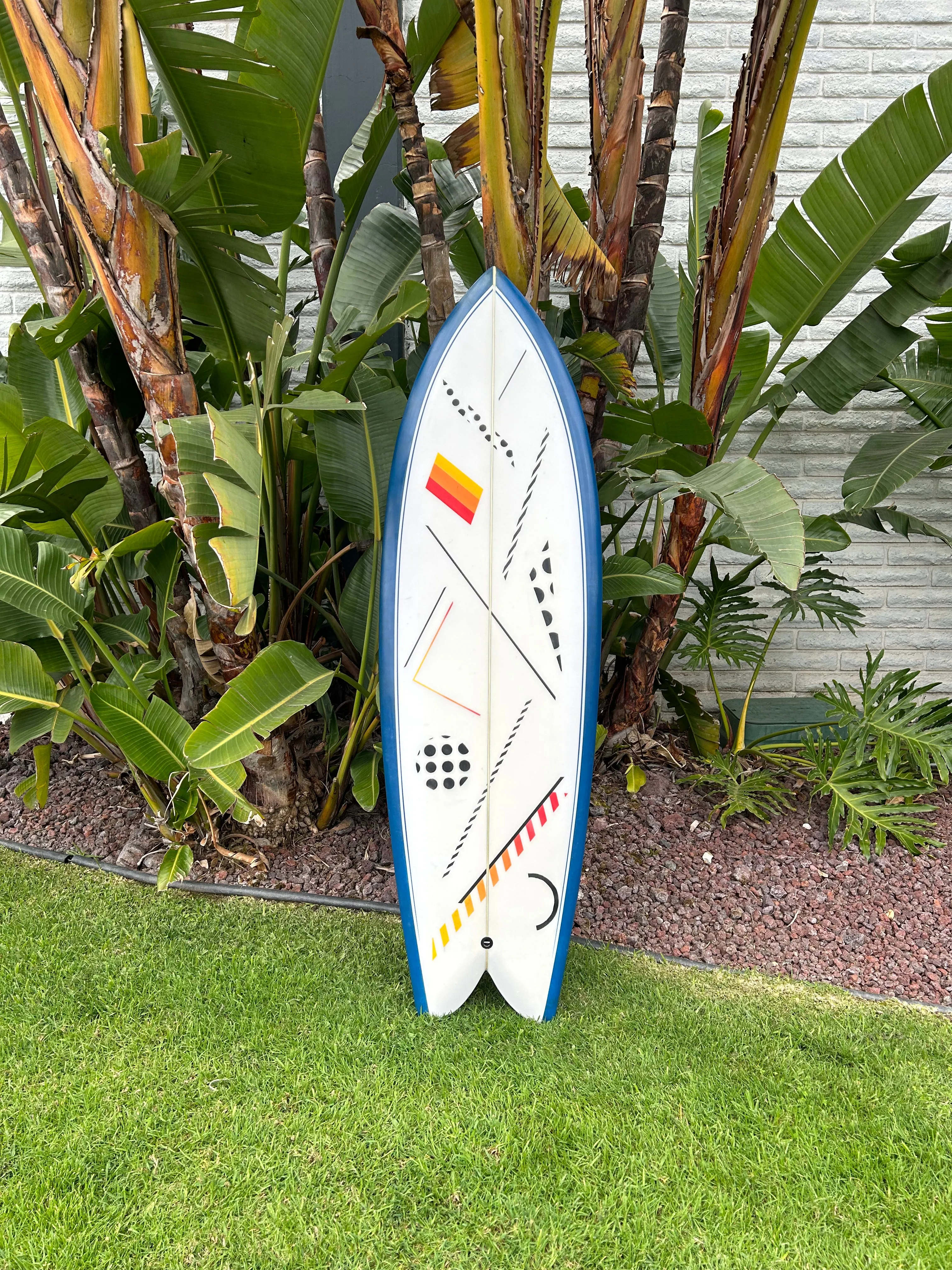 5'6" Jason Woodside Deconstructed Fish