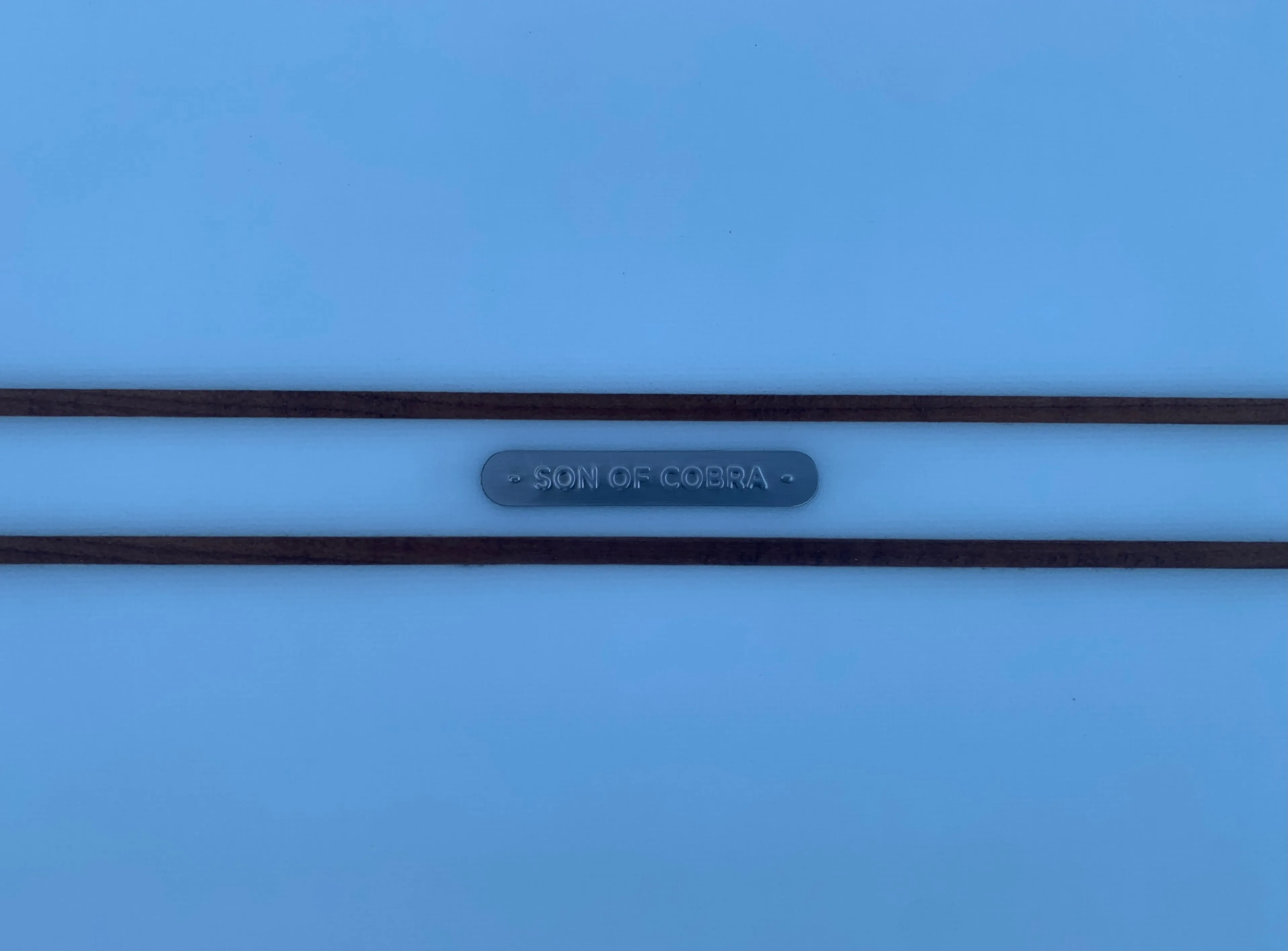 9'4" Son of Cobra Noserider