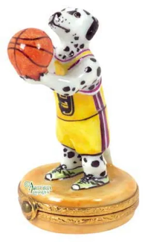 Basketball Dalmation Dog