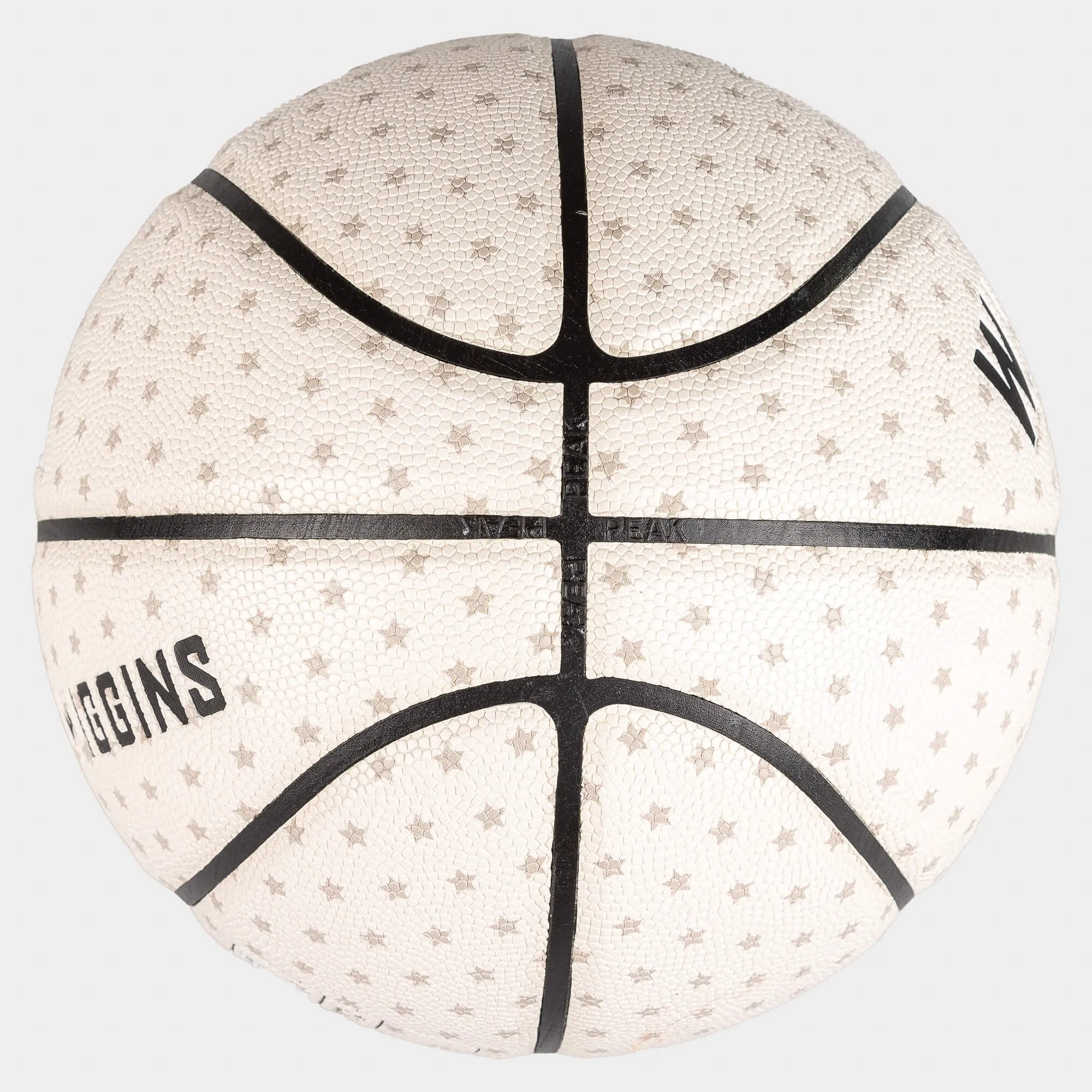 Basketbalová lopta Peak Andrew Wiggins Skywalker Composite Indoor/Outdoor Basketball veľkosť 7
