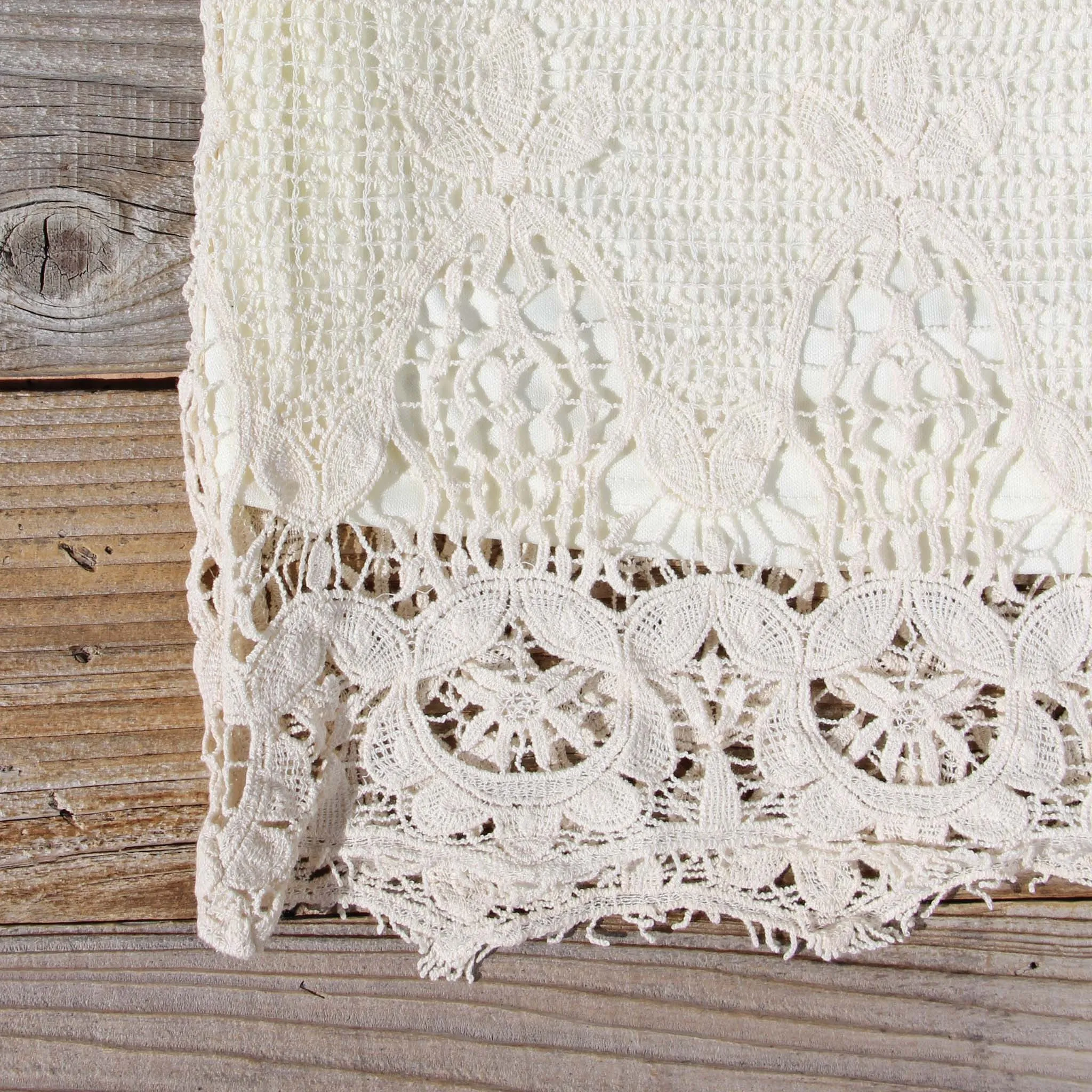 Coyote Lace Dress