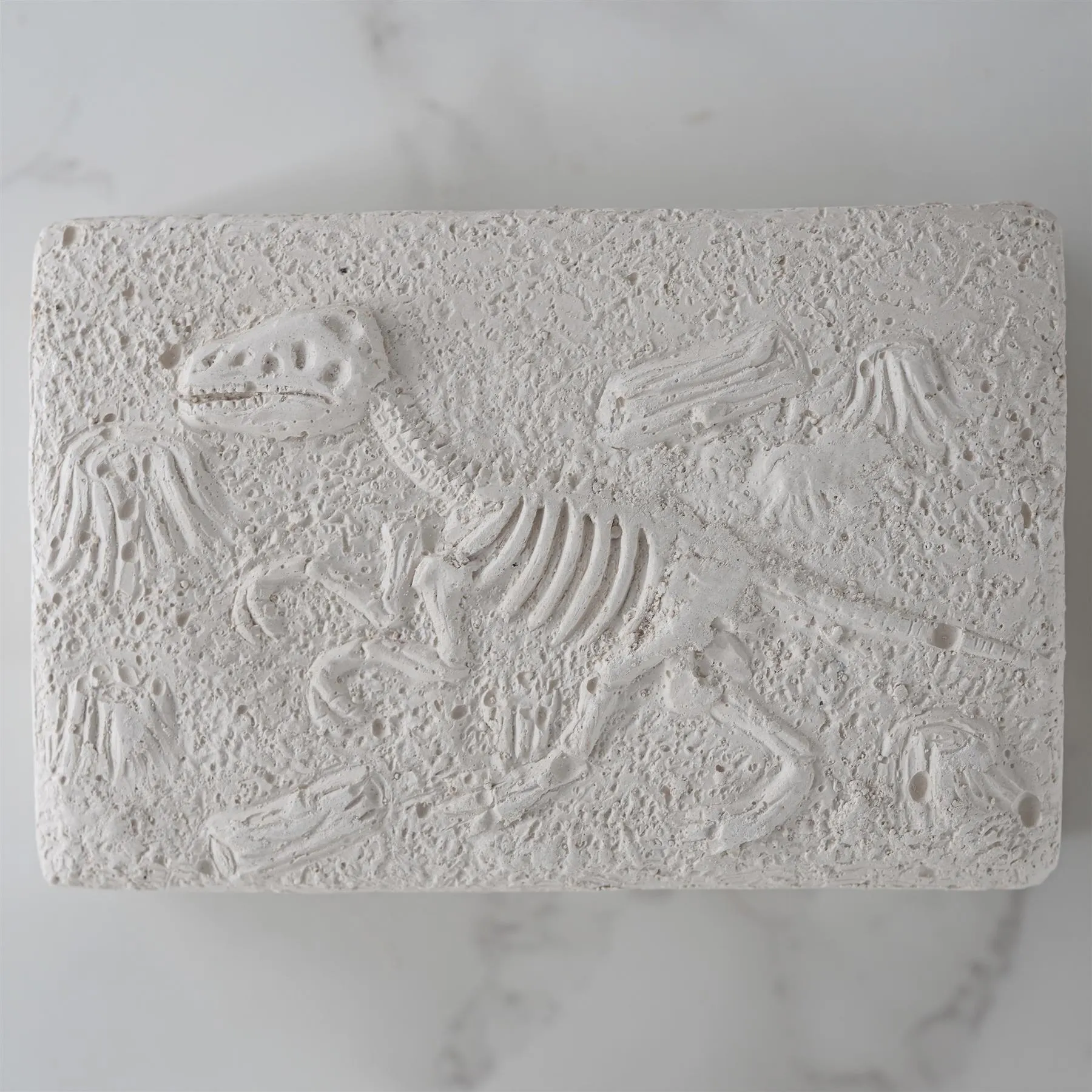 Dinosaur Fossils Digging Kit