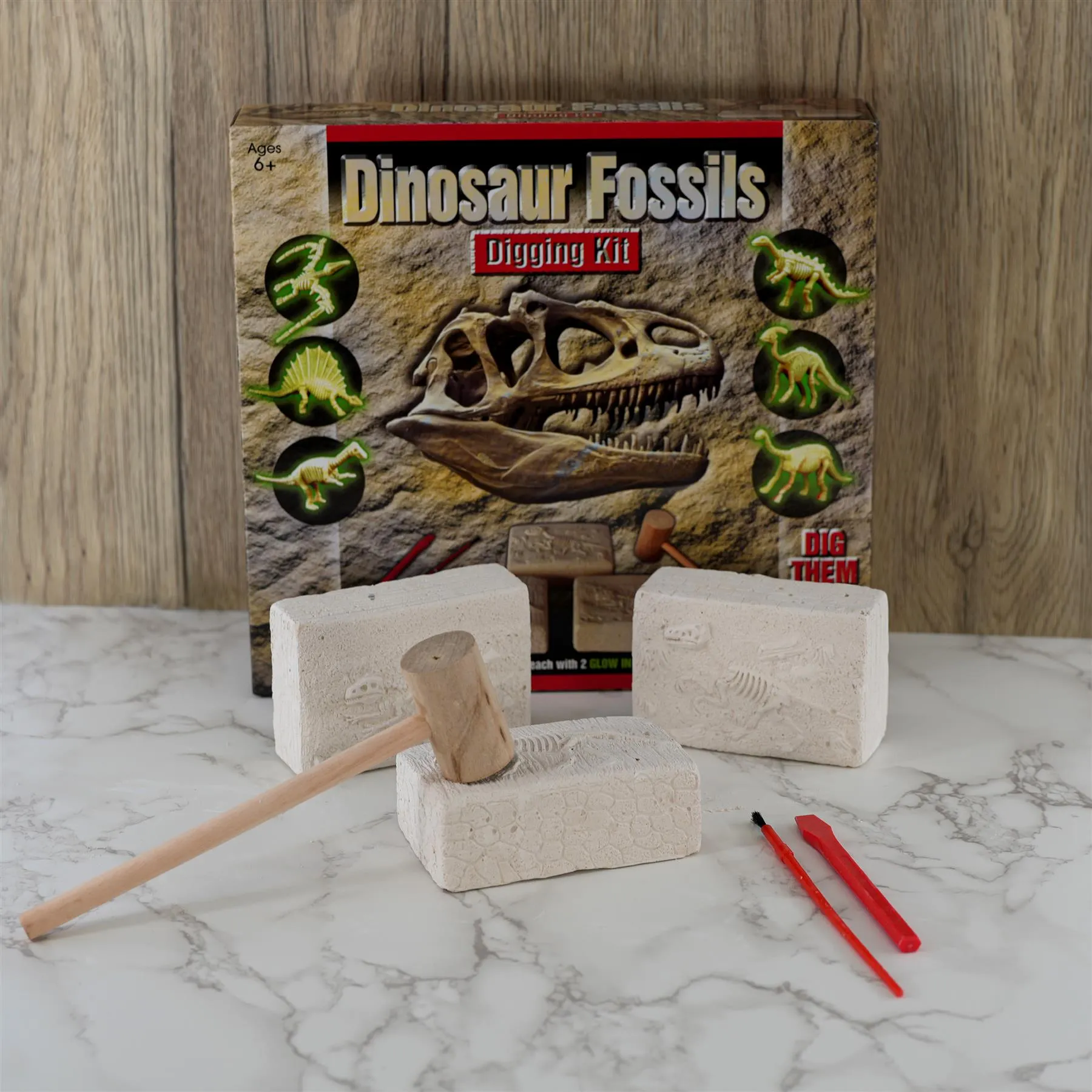 Dinosaur Fossils Digging Kit