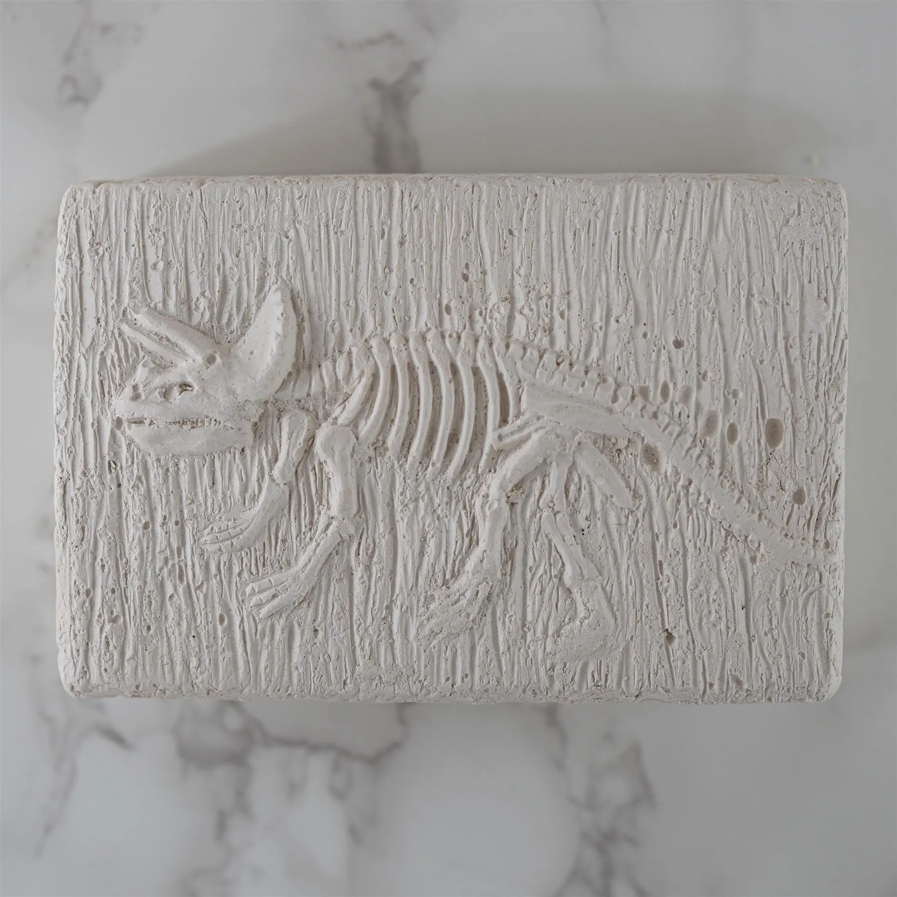 Dinosaur Fossils Digging Kit