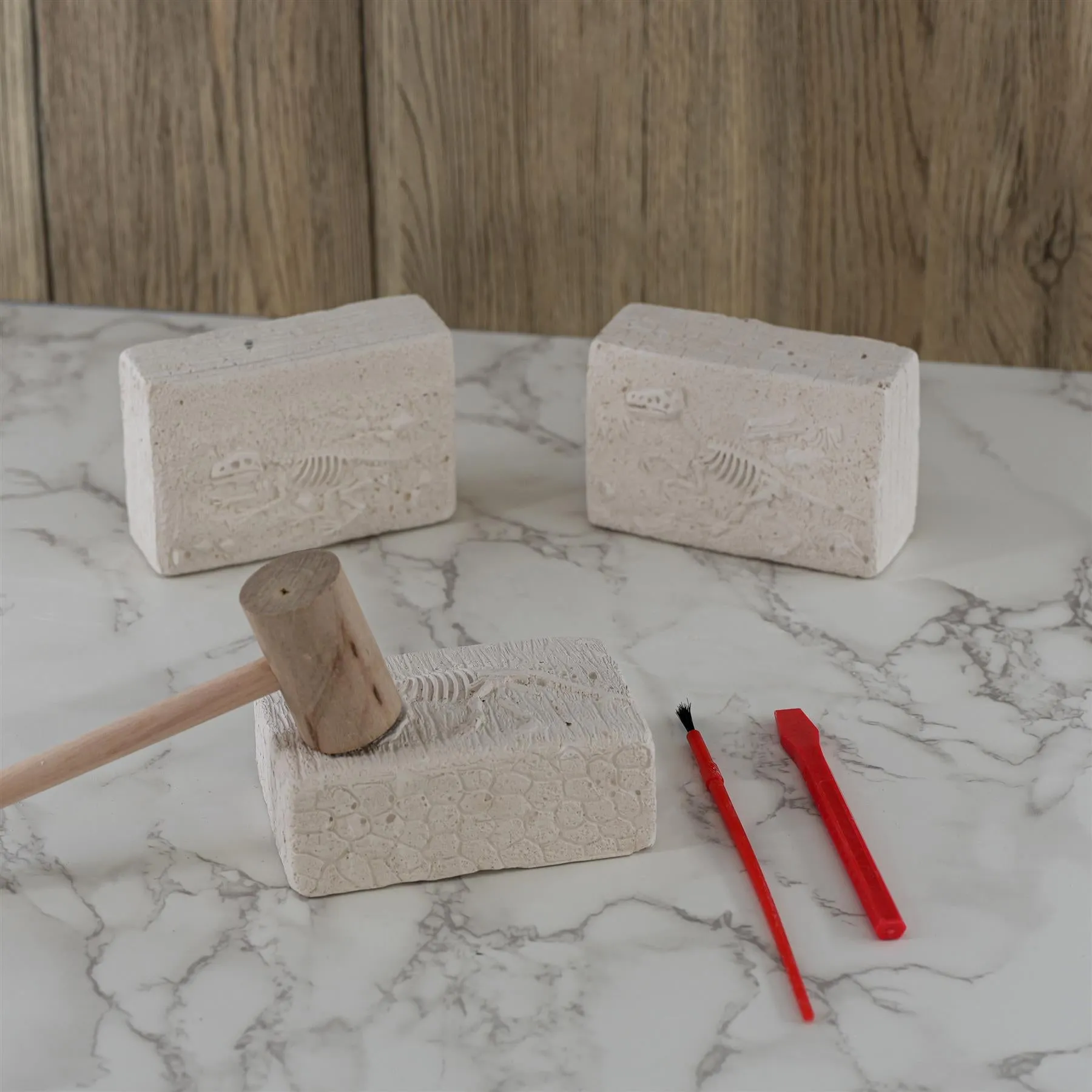 Dinosaur Fossils Digging Kit