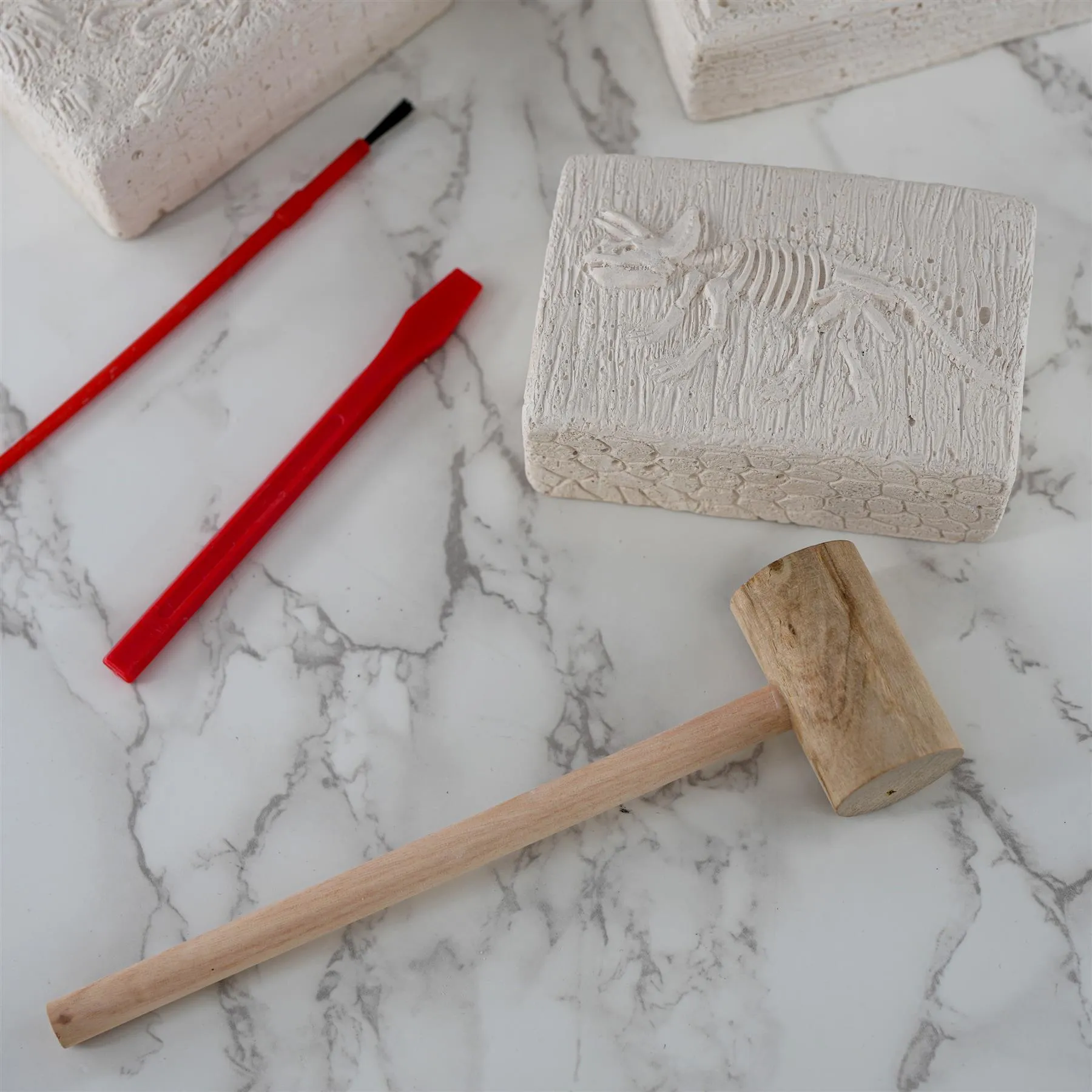 Dinosaur Fossils Digging Kit