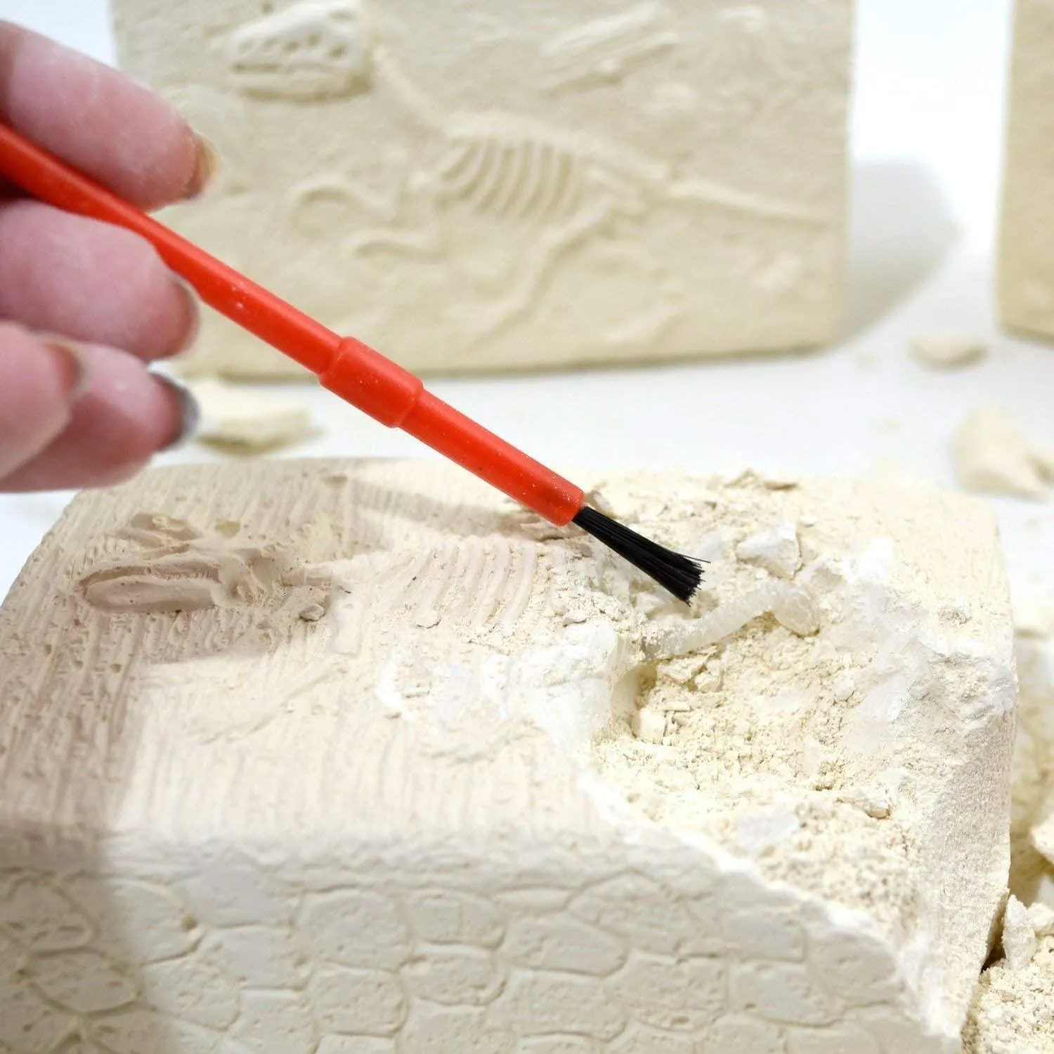 Dinosaur Fossils Digging Kit