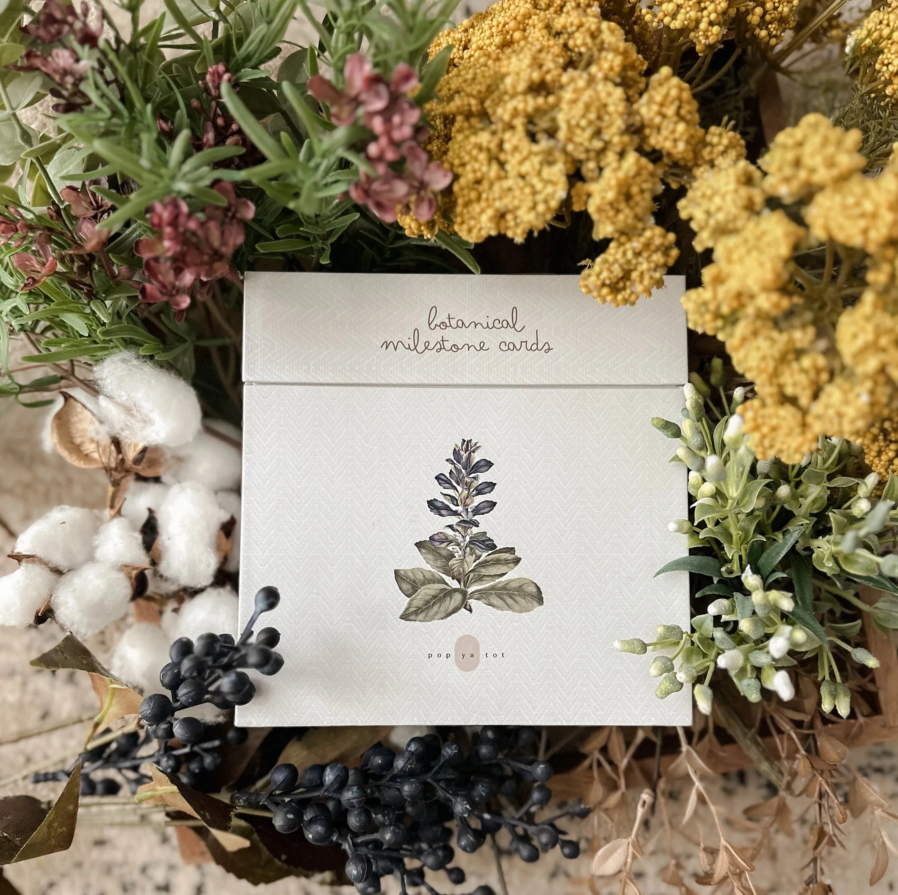 Pop Ya Tot Botanical Milestone Card Set