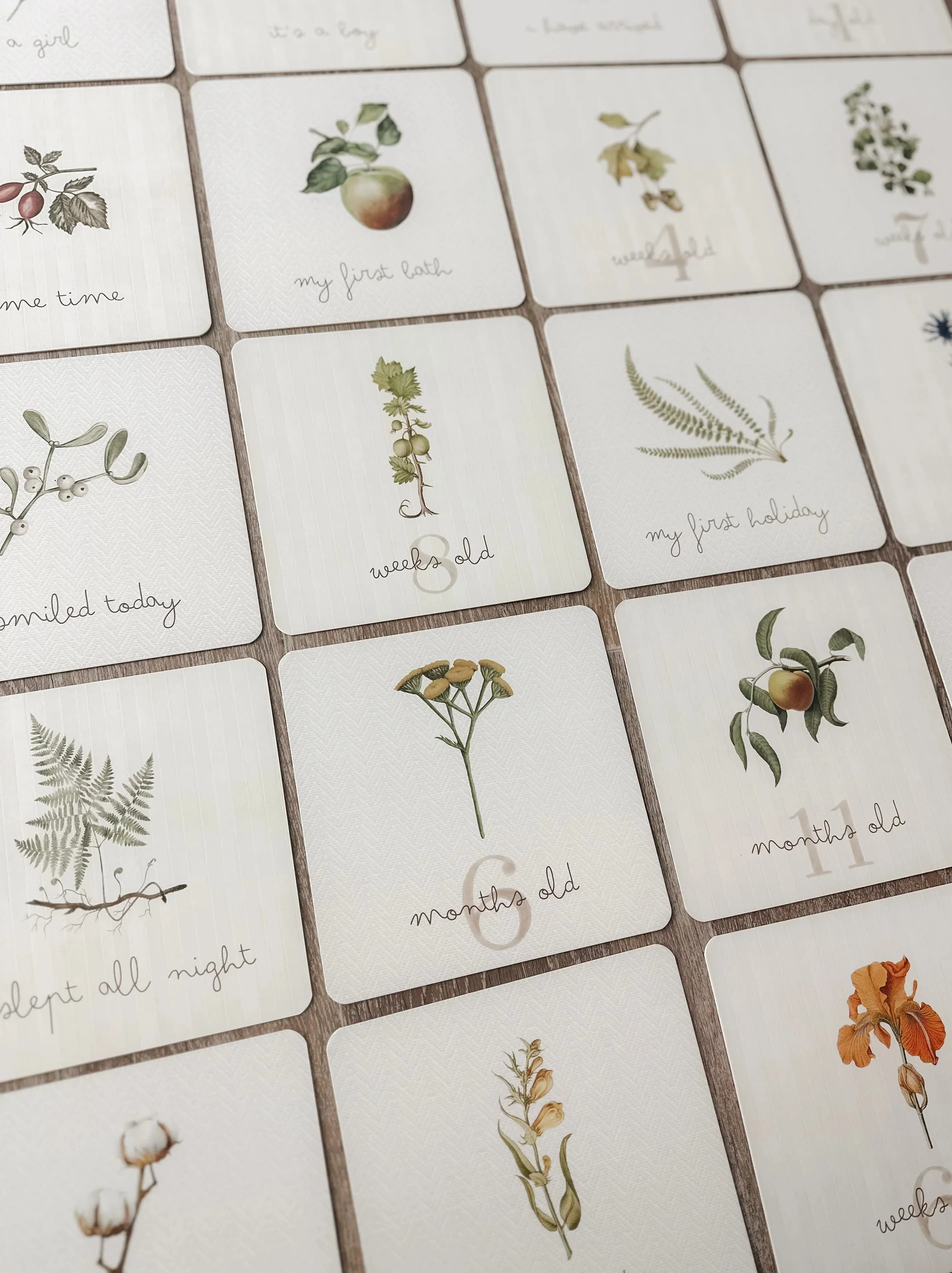 Pop Ya Tot Botanical Milestone Card Set