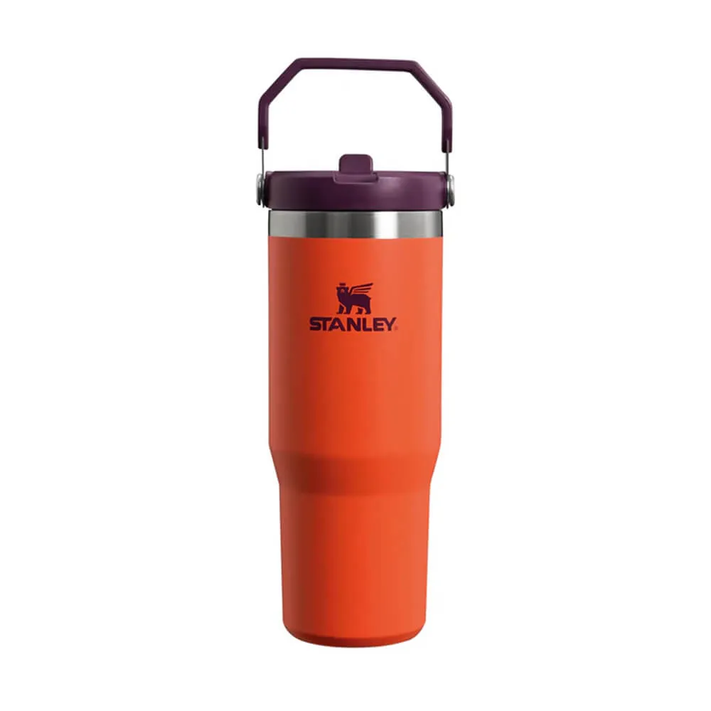 Stanley Iceflow Flip Straw Tumbler Thermo Trinkflasche Classic