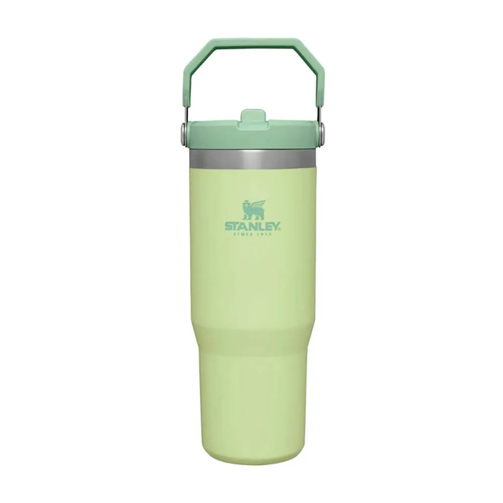 Stanley Iceflow Flip Straw Tumbler Thermo Trinkflasche Classic