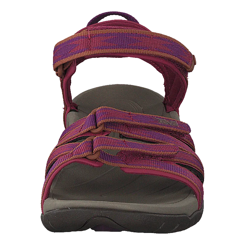 Tirra Halcon Gloxinia